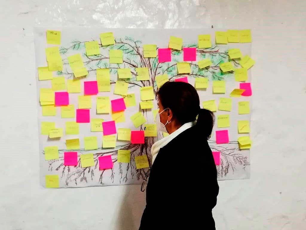 Imagen Galería 4